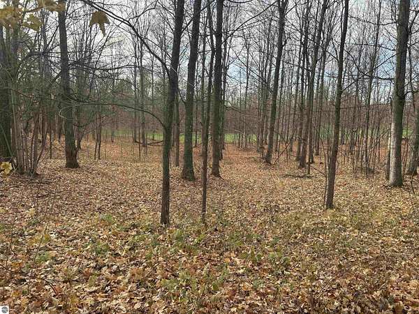 0.61 Acres of Residential Land for Sale in Bellaire, Michigan