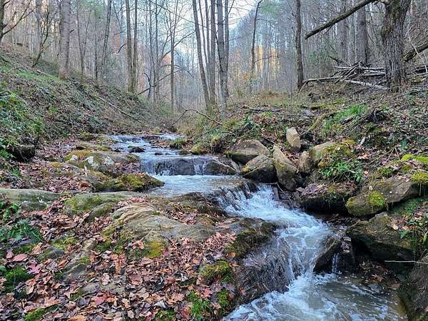 22.5 Acres of Land for Sale in Sylva, North Carolina