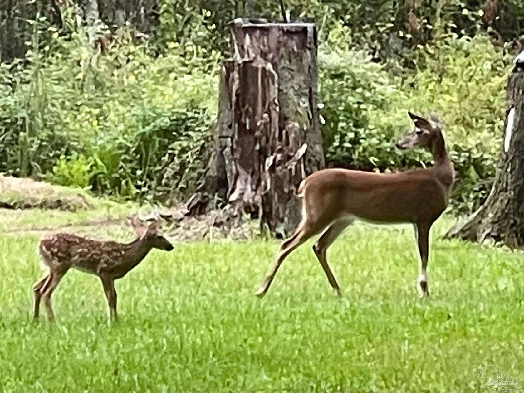 2.5 Acres of Land with Home for Sale in Milton, Florida