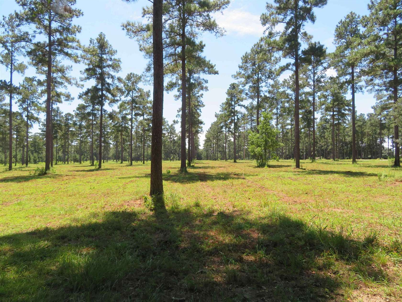 7.2 Acres of Residential Land for Sale in Quincy, Florida