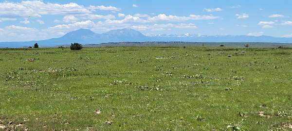 80 Acres of Land for Sale in Walsenburg, Colorado