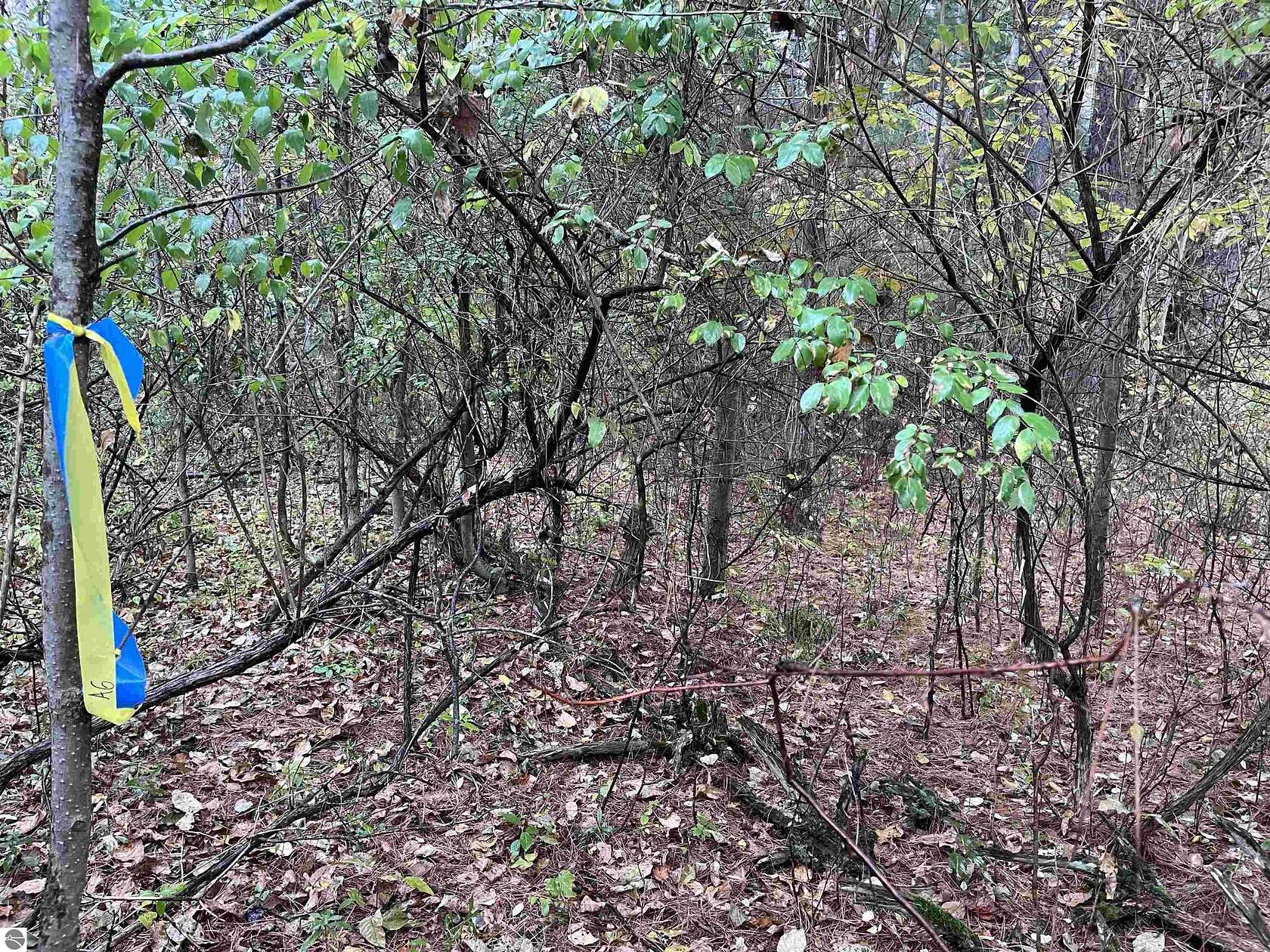 2 Acres of Commercial Land for Sale in Tawas City, Michigan