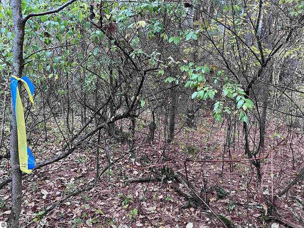 2 Acres of Commercial Land for Sale in Tawas City, Michigan