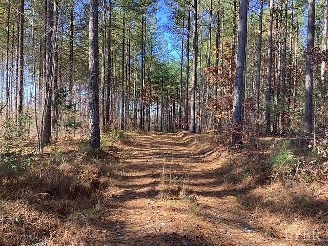 45 Acres of Recreational & Residential Land for Sale in Brookneal, Virginia