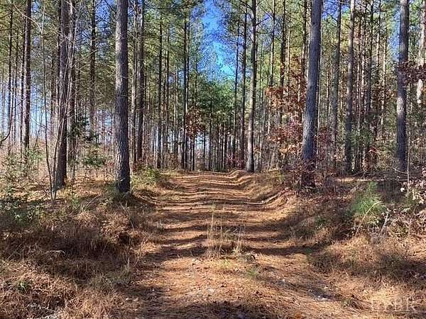 45 Acres of Recreational & Residential Land for Sale in Brookneal, Virginia