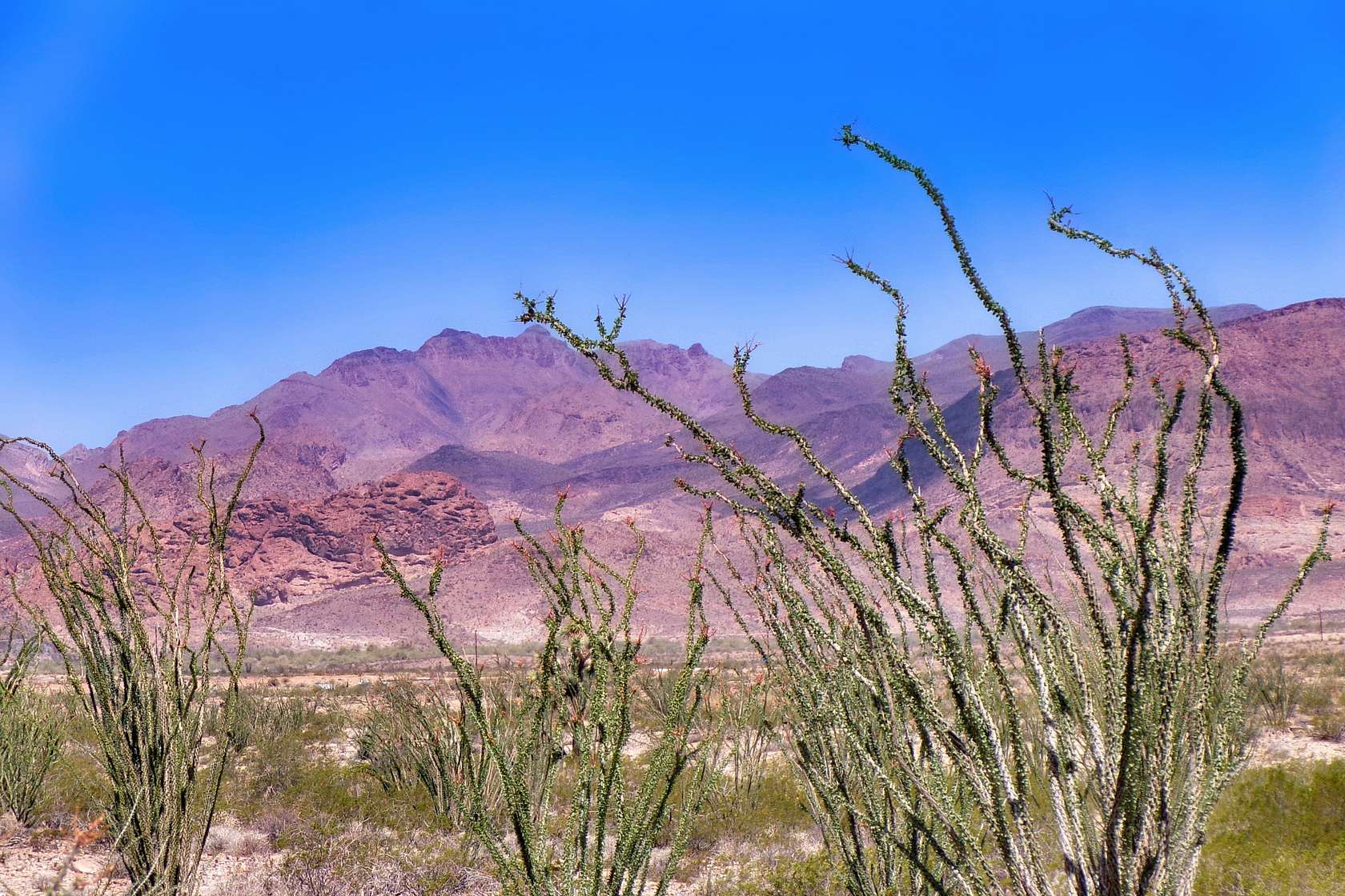 2.35 Acres of Residential Land for Sale in Yucca, Arizona