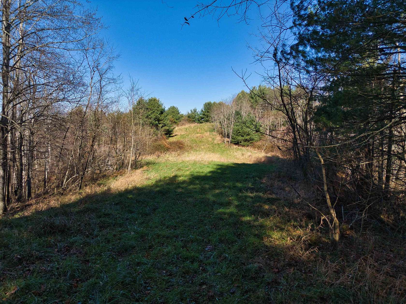 50 Acres of Recreational Land for Sale in Floyd, Virginia