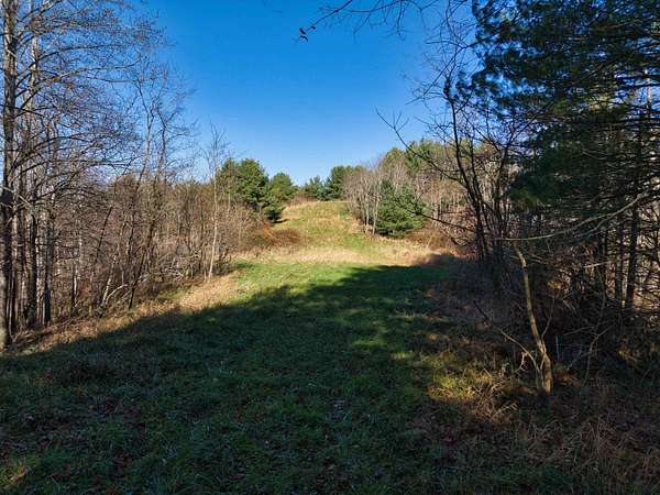 50 Acres of Recreational Land for Sale in Floyd, Virginia