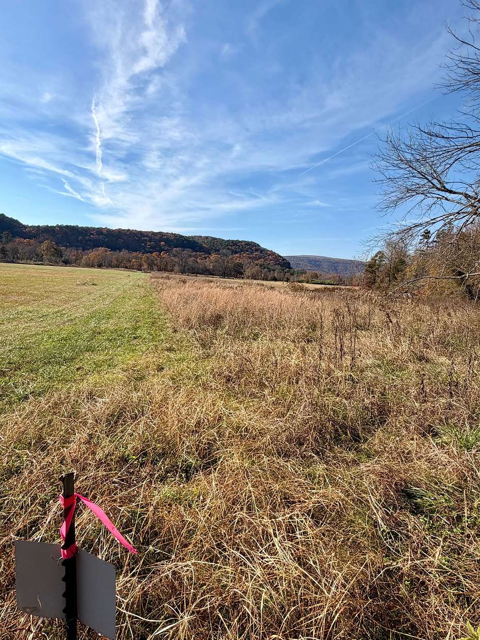 3.84 Acres of Recreational Land for Sale in Hagarville, Arkansas