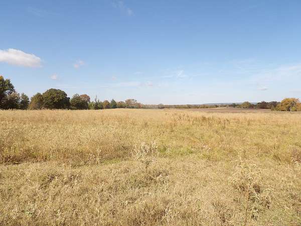 159 Acres of Recreational Land & Farm for Sale in Antlers, Oklahoma