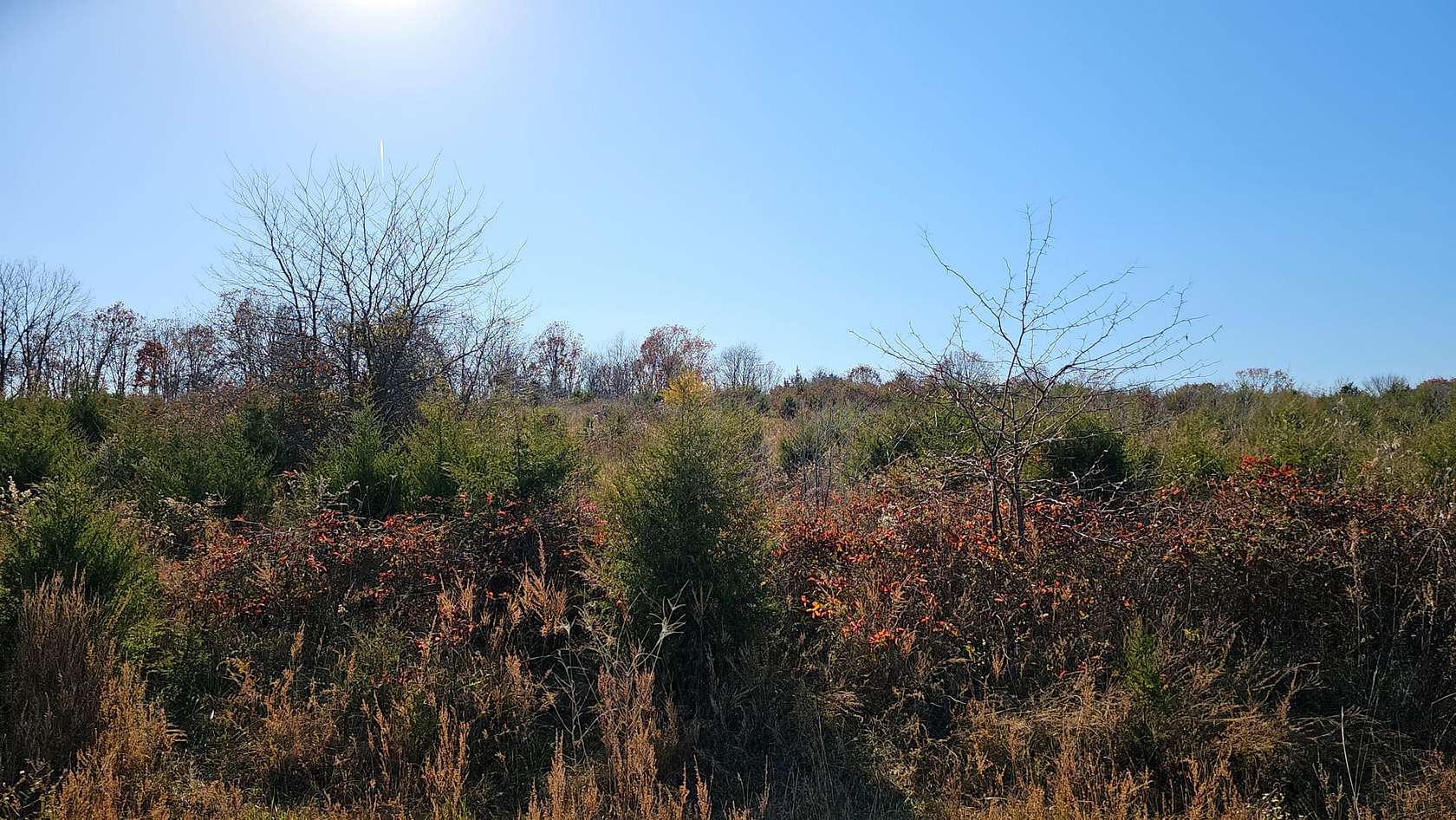 5.3 Acres of Recreational Land & Farm for Sale in Marshfield, Missouri