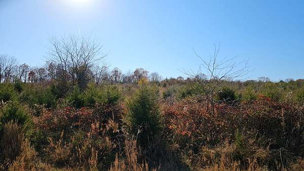 5.3 Acres of Recreational Land & Farm for Sale in Marshfield, Missouri