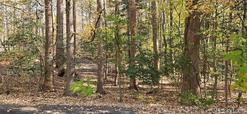 0.46 Acres of Residential Land for Sale in Littleton, North Carolina