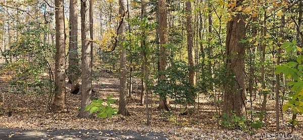 0.46 Acres of Residential Land for Sale in Littleton, North Carolina