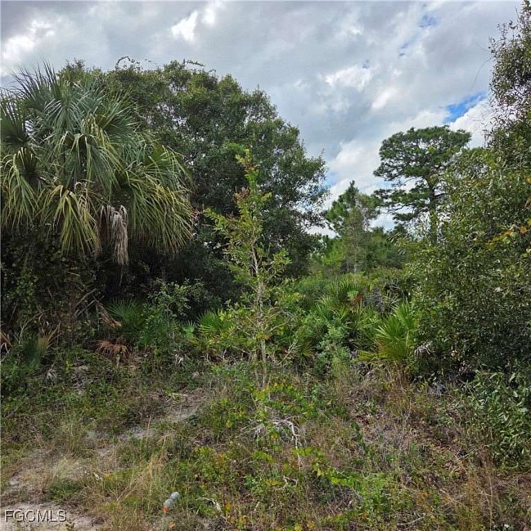 0.33 Acres of Residential Land for Sale in Lehigh Acres, Florida