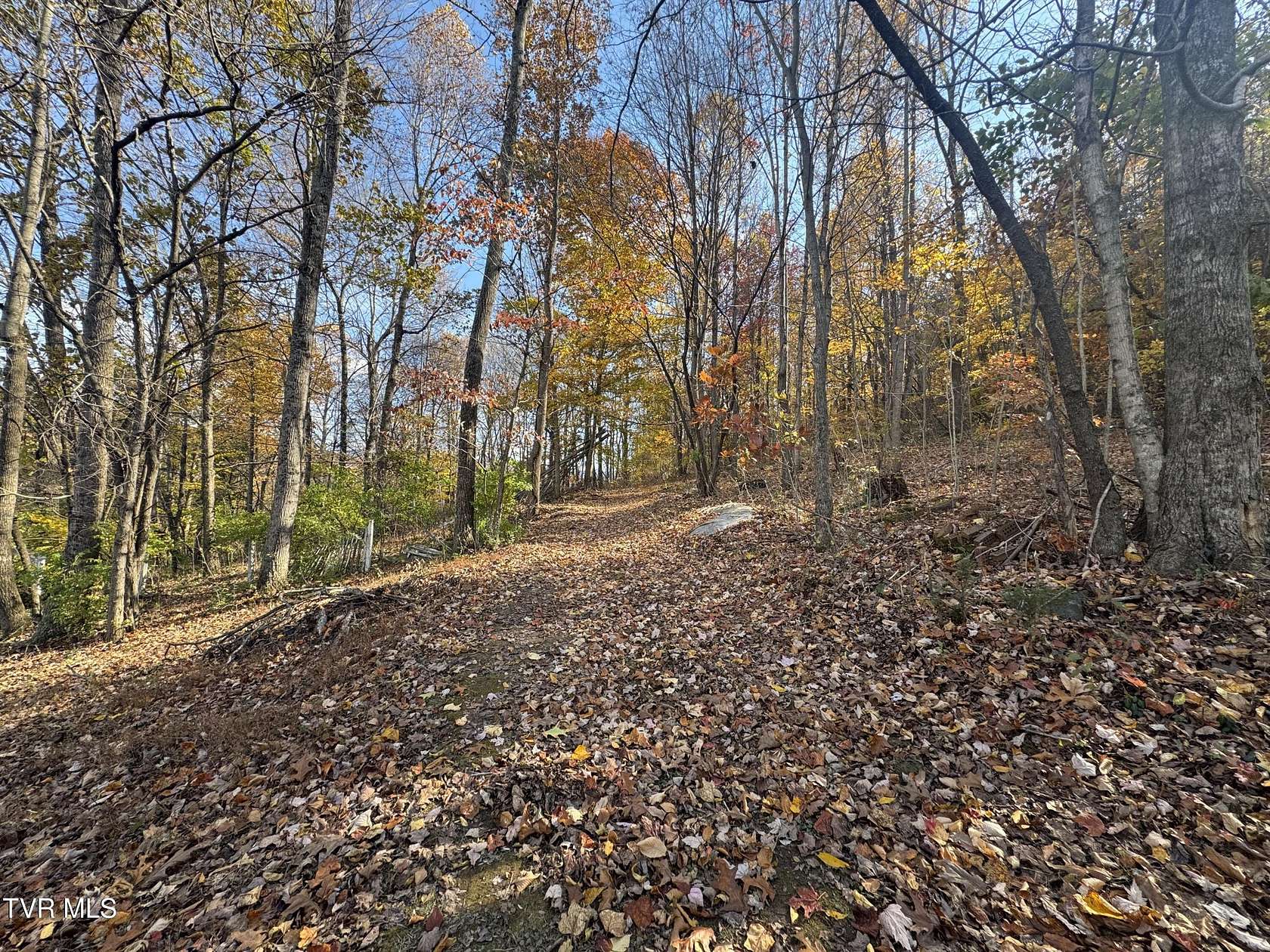 1.4 Acres of Residential Land for Sale in Johnson City, Tennessee