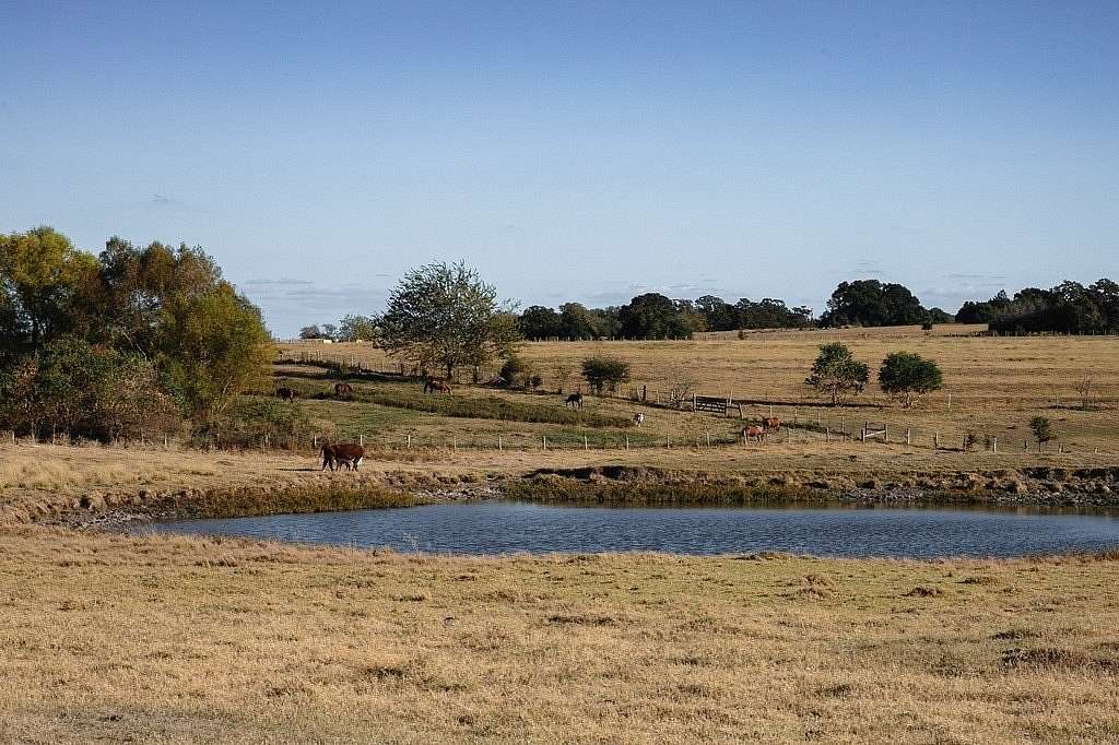 42 Acres of Land for Sale in Brenham, Texas