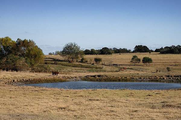 42 Acres of Land for Sale in Brenham, Texas