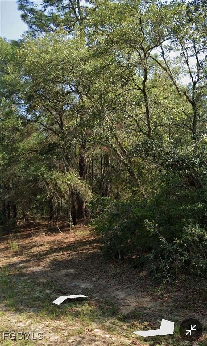 0.23 Acres of Land for Sale in Citrus Springs, Florida