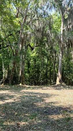 1.33 Acres of Residential Land for Sale in Townsend, Georgia