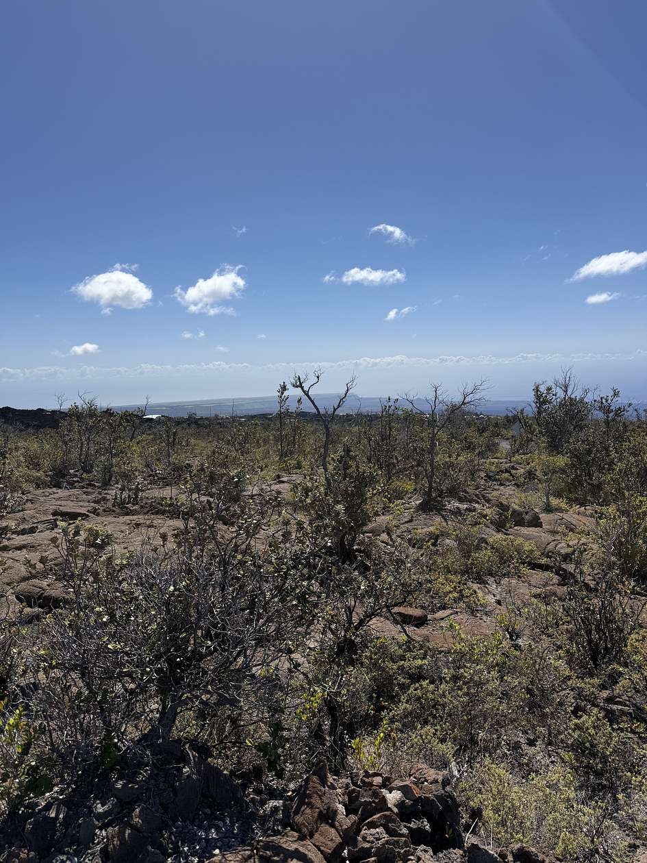 1 Acre of Land for Sale in Hawaiian Ocean View, Hawaii