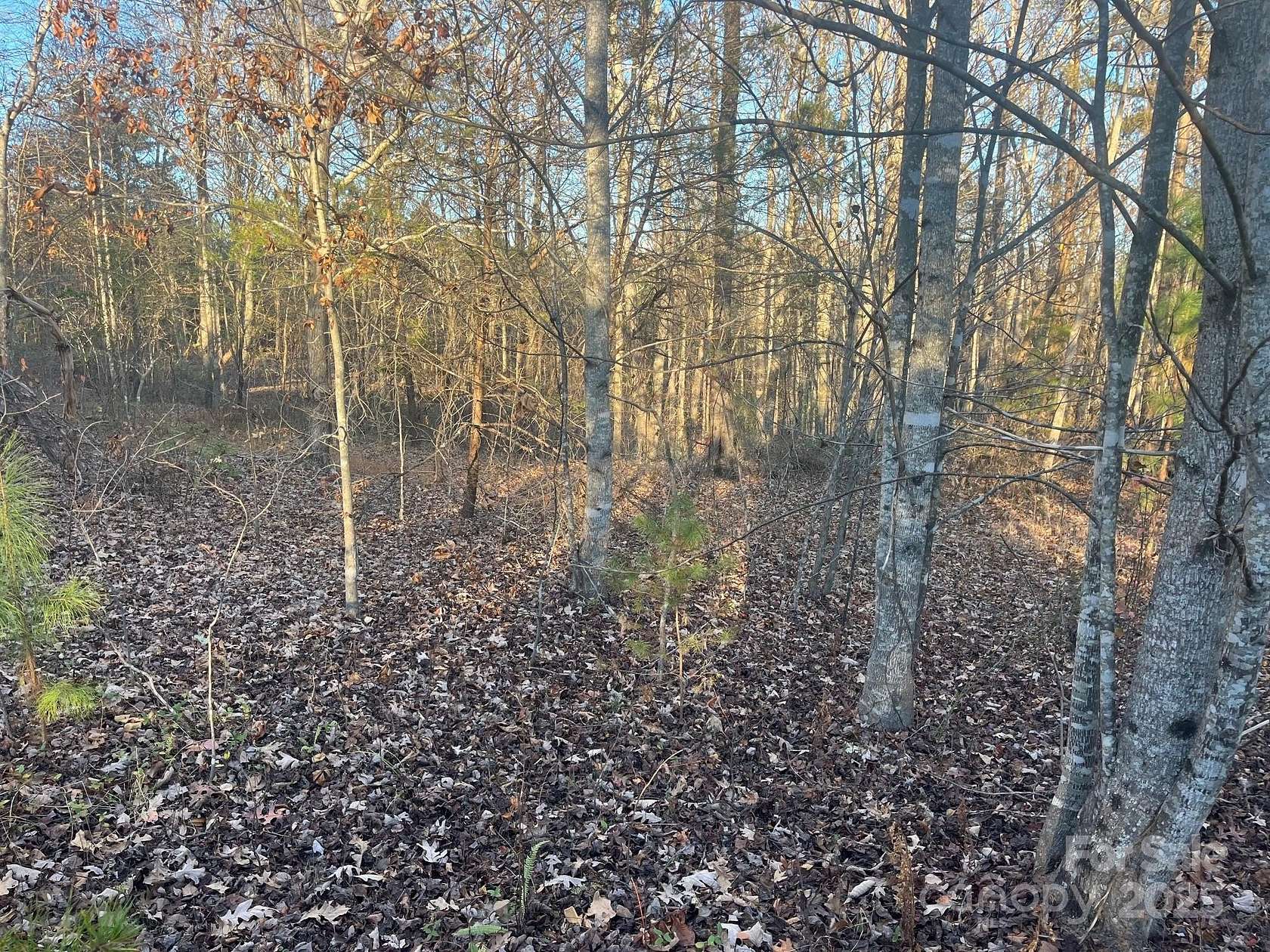 11.8 Acres of Recreational Land for Sale in Nebo, North Carolina