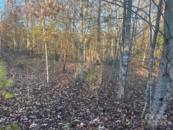 11.8 Acres of Recreational Land for Sale in Nebo, North Carolina