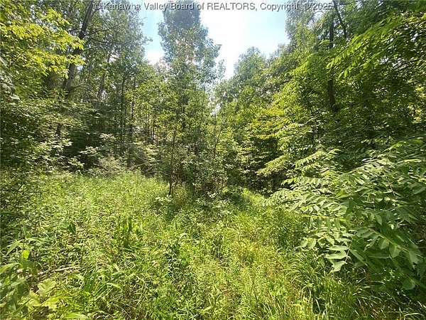Residential Land for Sale in Kenna, West Virginia