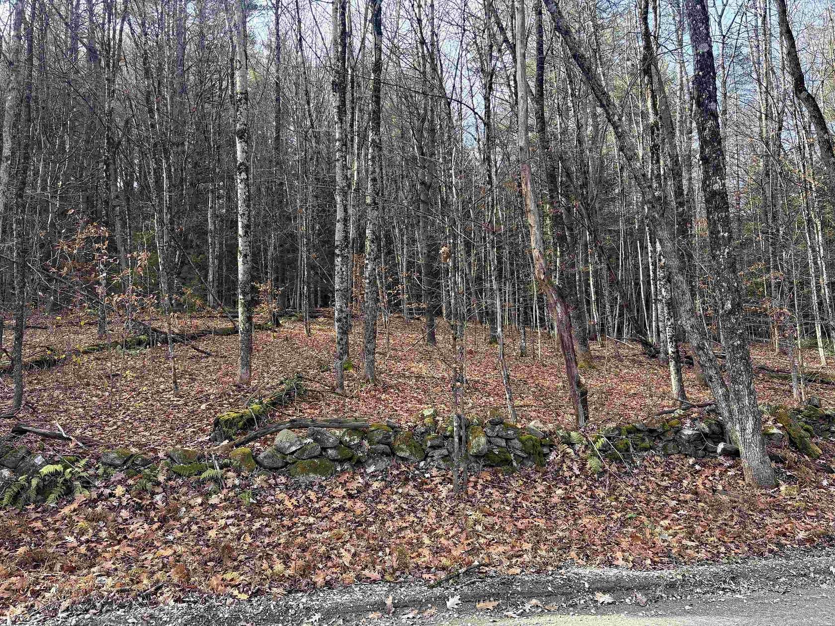 9.3 Acres of Land for Sale in Putney, Vermont