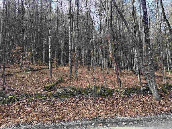 9.3 Acres of Land for Sale in Putney, Vermont