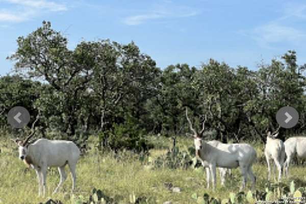 301 Acres of Recreational Land with Home for Sale in Fort McKavett, Texas