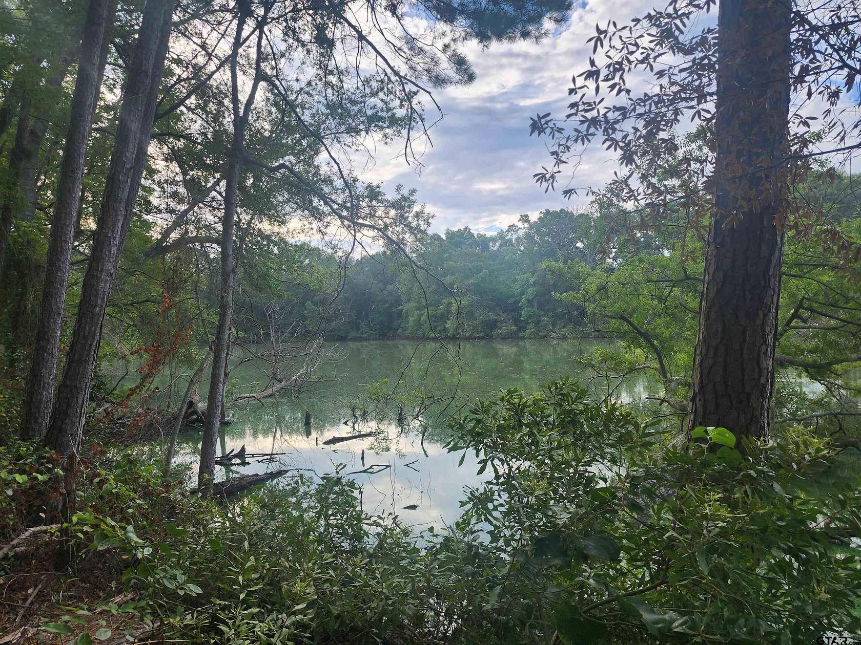 2 Acres of Residential Land for Sale in Pittsburg, Texas