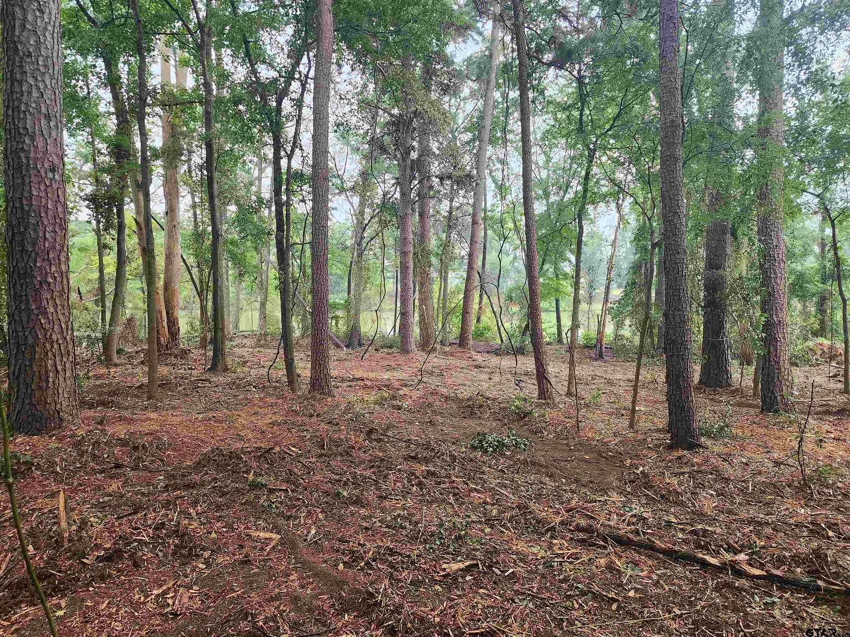 2 Acres of Residential Land for Sale in Pittsburg, Texas