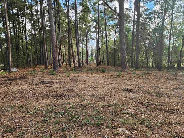 2 Acres of Residential Land for Sale in Pittsburg, Texas