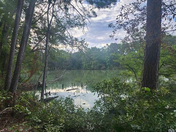 2 Acres of Residential Land for Sale in Pittsburg, Texas