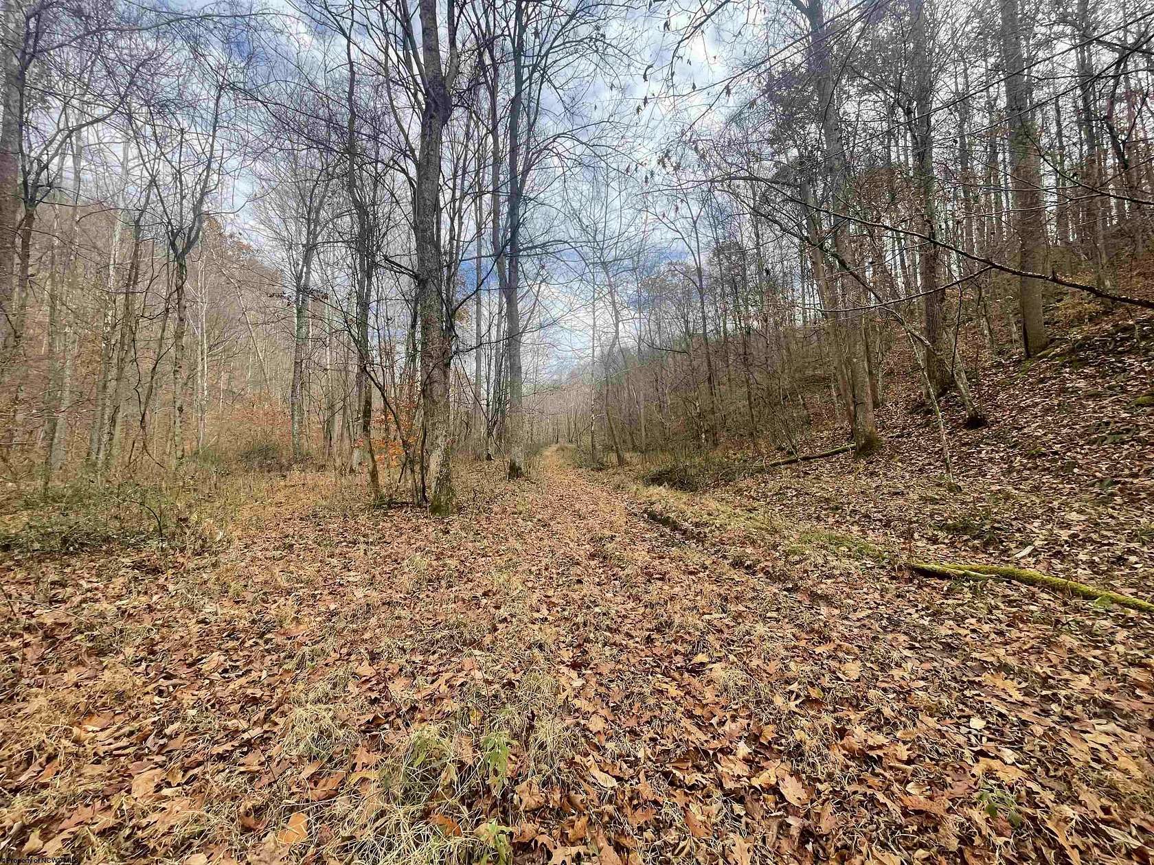 125 Acres of Land for Sale in Walkersville, West Virginia