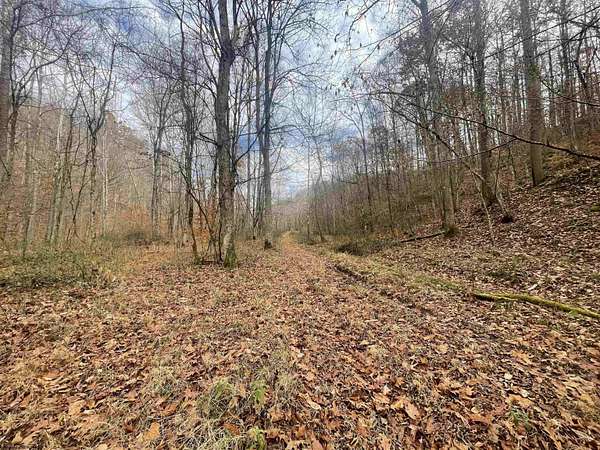 125 Acres of Land for Sale in Walkersville, West Virginia