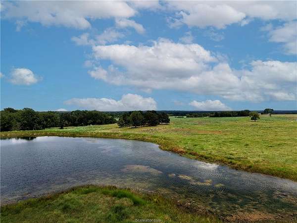 12 Acres of Recreational & Residential Land for Sale in Anderson, Texas