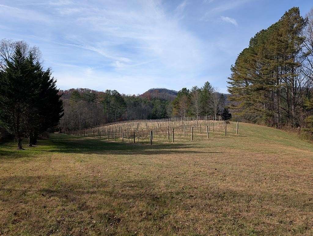 2.83 Acres of Residential Land for Sale in Hiawassee, Georgia