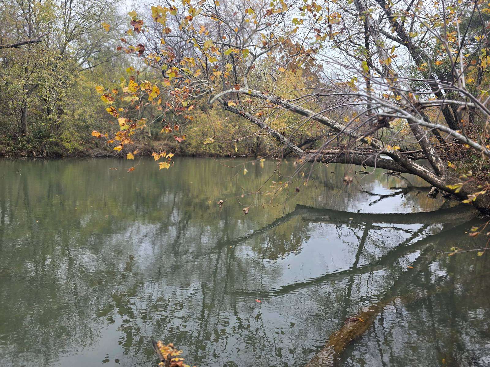 80 Acres of Recreational Land for Sale in Muse, Oklahoma