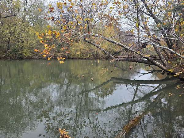 80 Acres of Recreational Land for Sale in Muse, Oklahoma