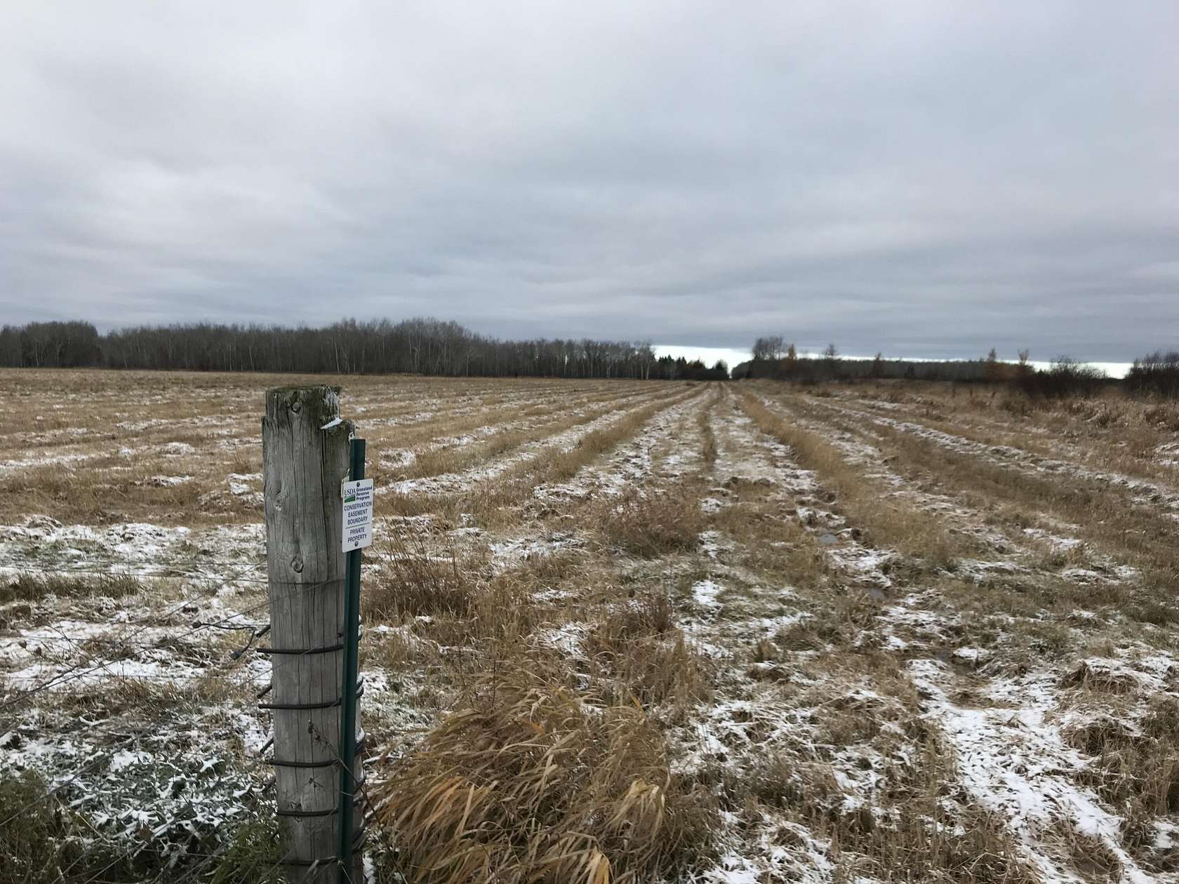 160 Acres of Land for Sale in Rudyard, Michigan
