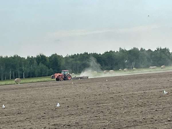 160 Acres of Land for Sale in Rudyard, Michigan