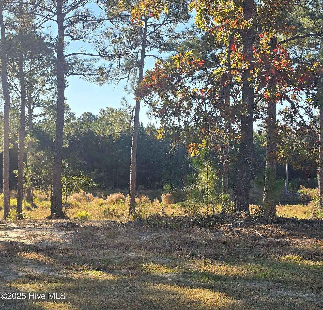 0.32 Acres of Residential Land for Sale in Sunset Beach, North Carolina