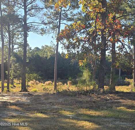 0.32 Acres of Residential Land for Sale in Sunset Beach, North Carolina