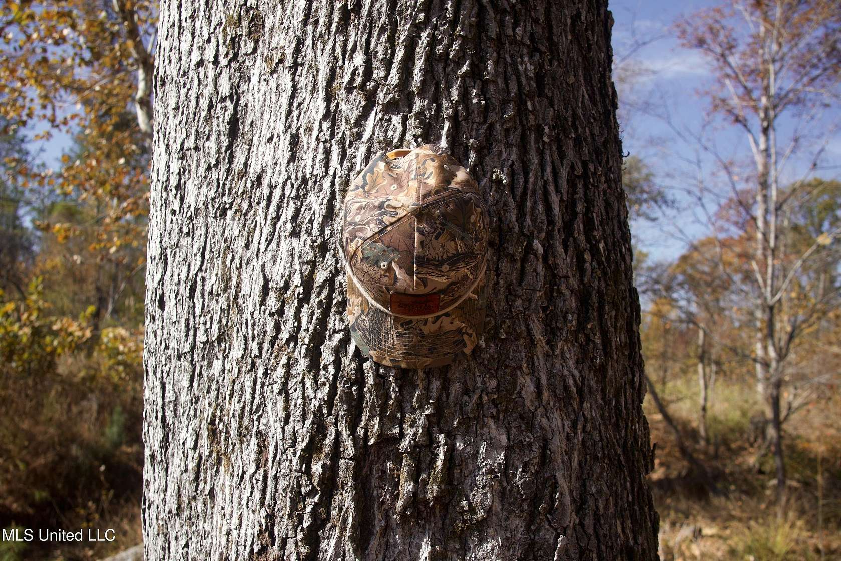 67 Acres of Recreational Land for Sale in Carrollton, Mississippi