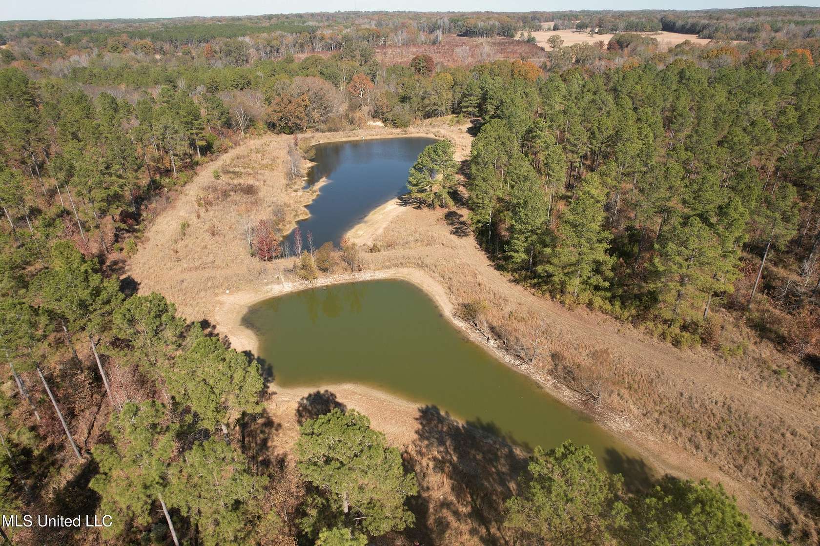 67 Acres of Recreational Land for Sale in Carrollton, Mississippi
