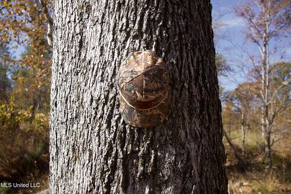 67 Acres of Recreational Land for Sale in Carrollton, Mississippi