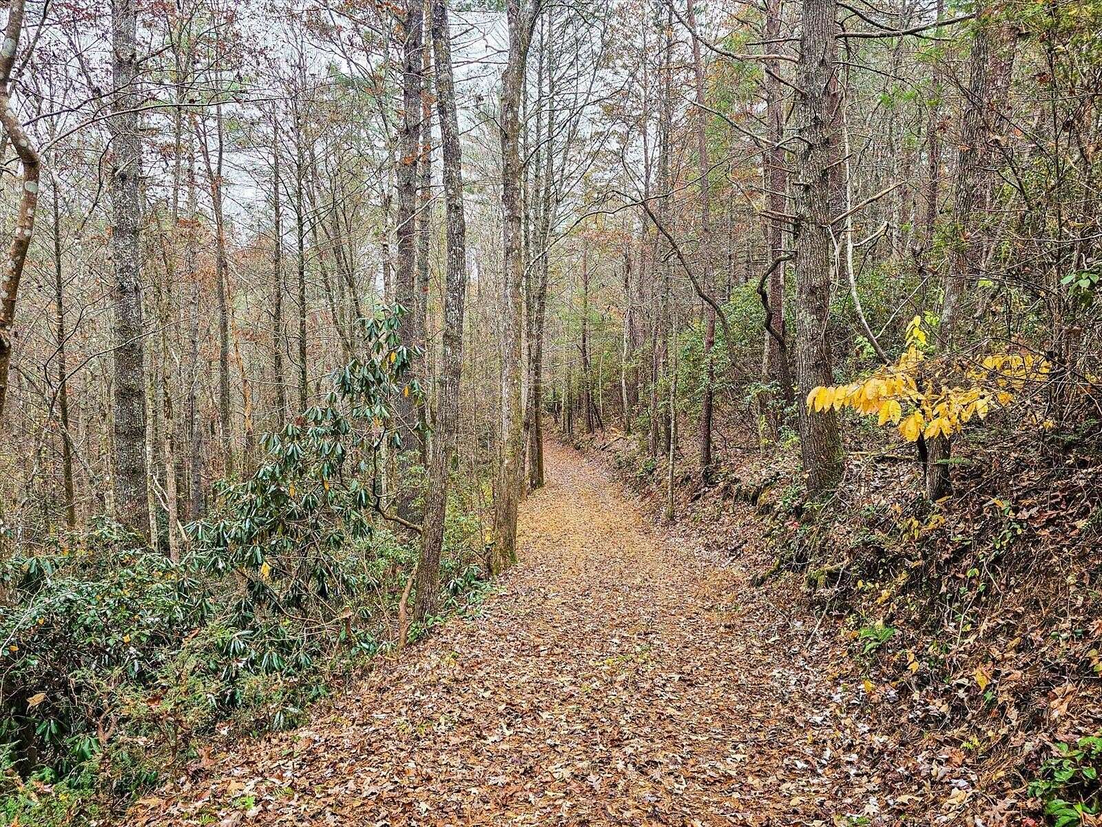 10.7 Acres of Land for Sale in Tellico Plains, Tennessee