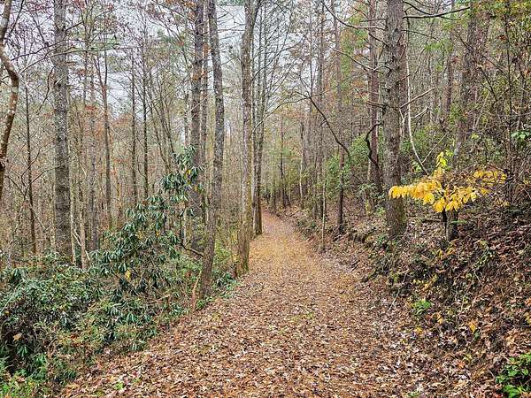 10.7 Acres of Land for Sale in Tellico Plains, Tennessee